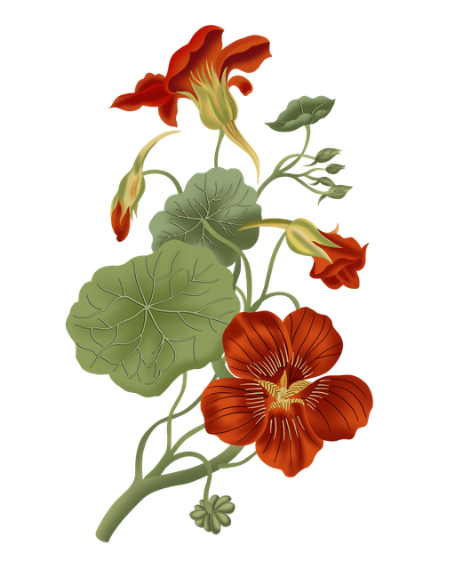 shutterstock 1335717152.png
