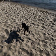 IMG-8140