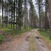IMG 5706