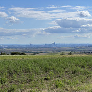 IMG-2531