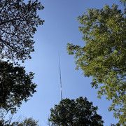 IMG 3397