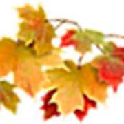 db2bcc3d1a3c