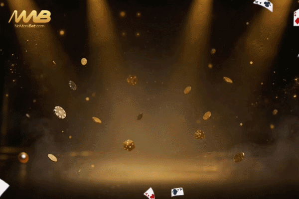 IMG_7339.gif