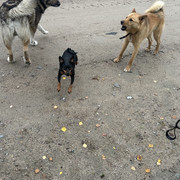 IMG 4686