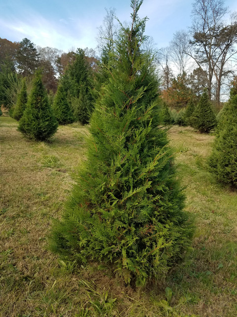 20181118 124407.jpg