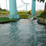 DSC05608