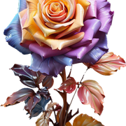 dd07d1db18ab3e2042c921b4ee9bcfb8