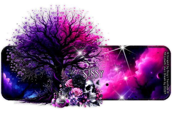 Sissy 95ºBanner.png