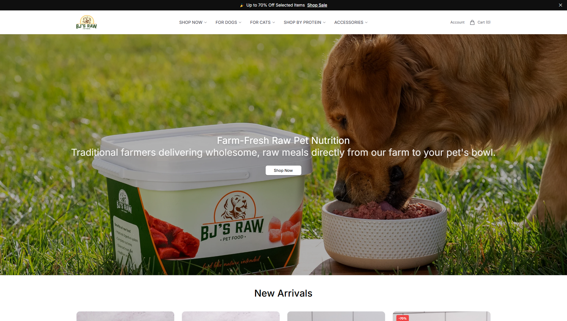 Primary capture · bjsrawpet.shop