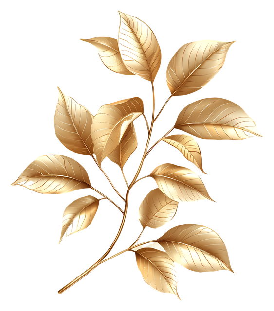 42c47e1bf85803e4facde4c67f116d07.png