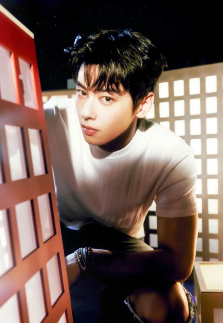 cha eun woo 1395935.webp