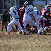 IMG-4136