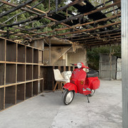 IMG-5541