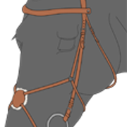 suitset3 1 1