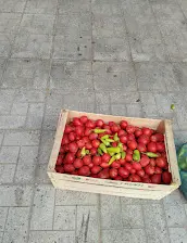 صورة منيو شاورما ميامي بمطروح