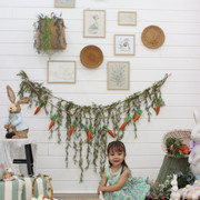 IMG-6526