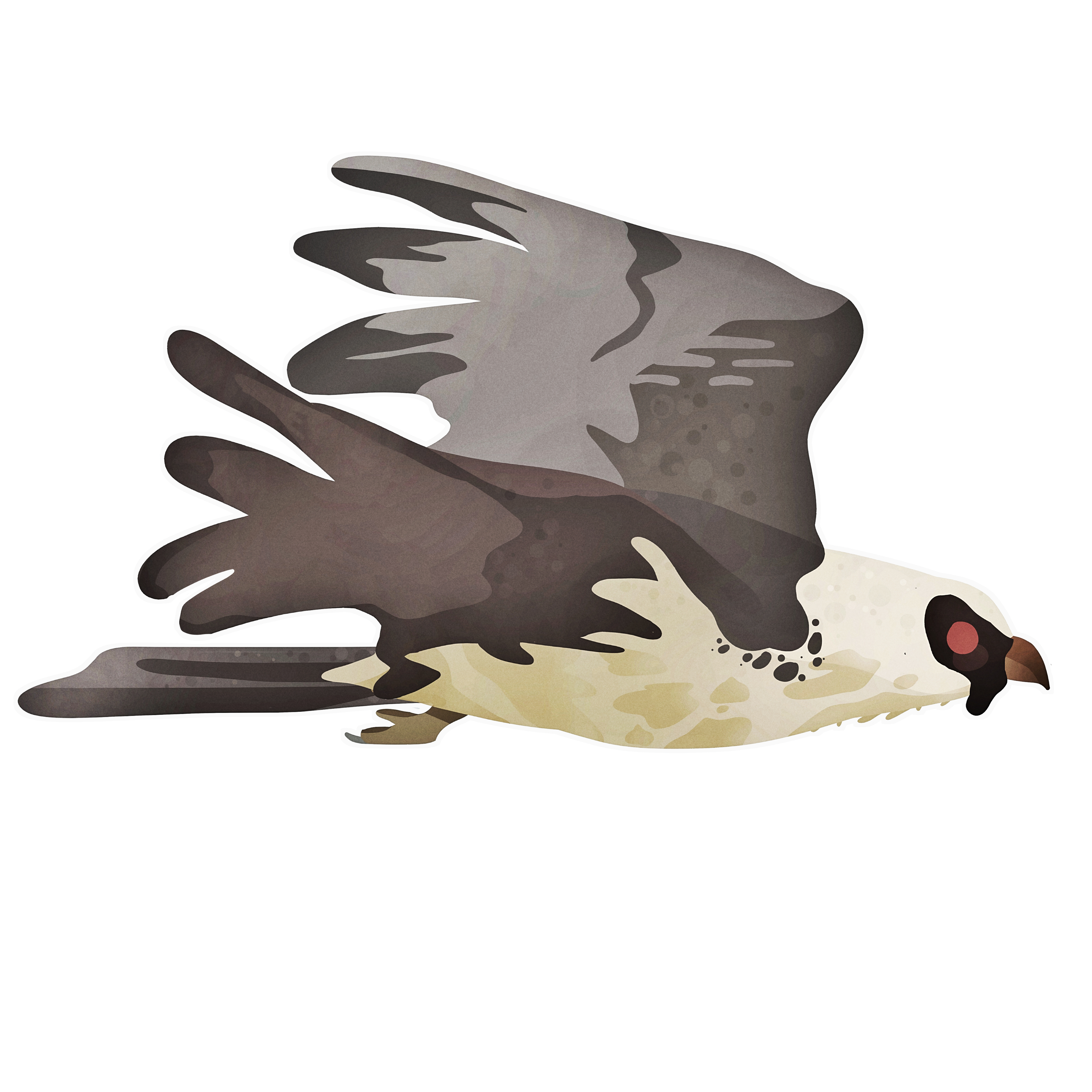lammergeier.png