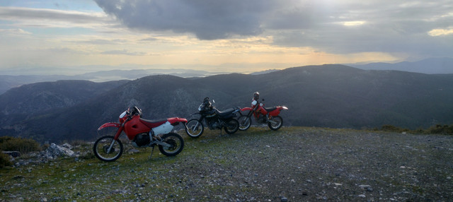 IMG20250215163311