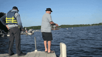 1000131559.gif