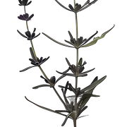 01-322