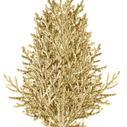 Element32.png