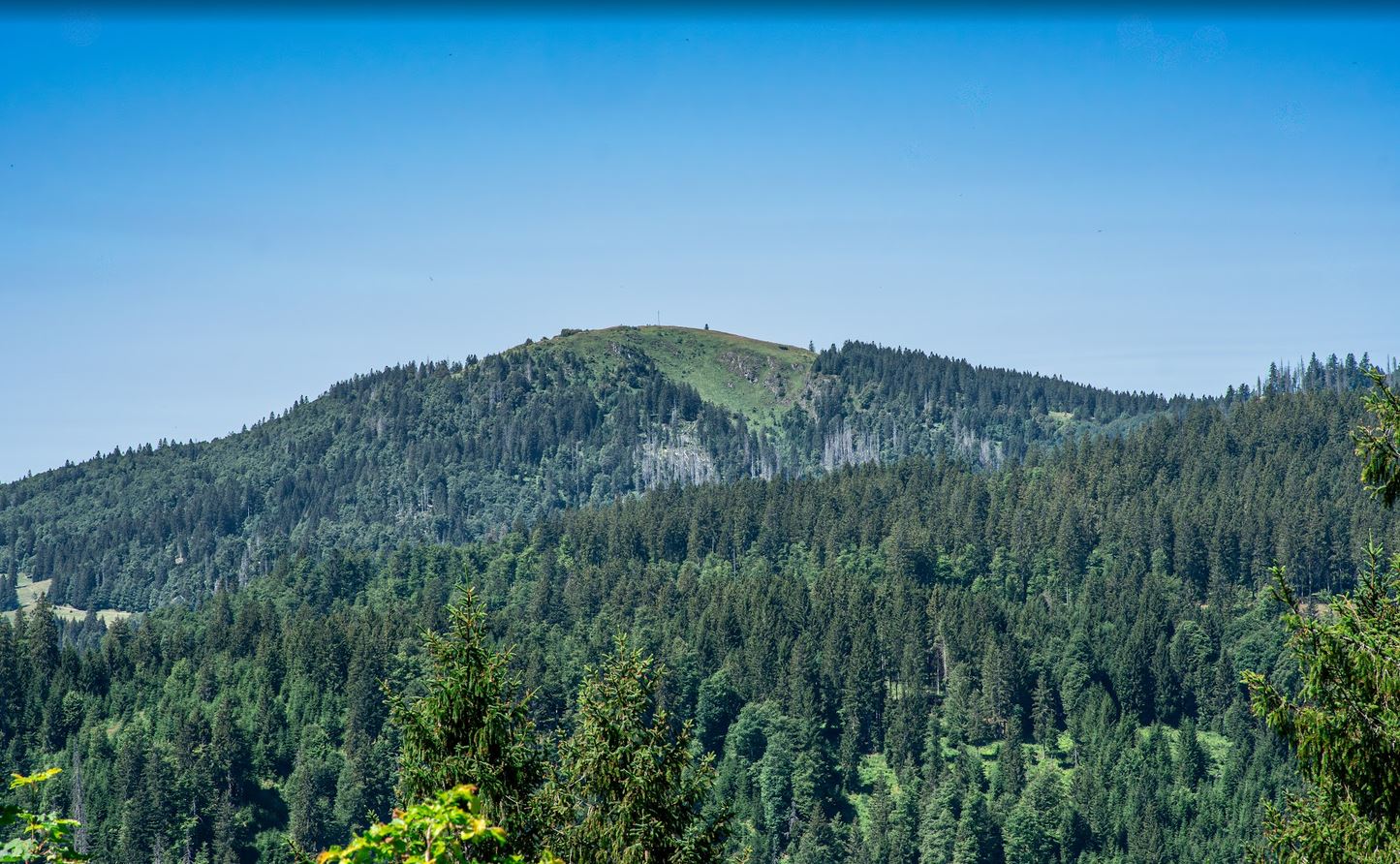 124141-Kopie.jpg