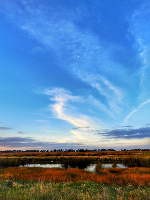 DSCN4850.jpg
