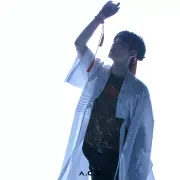 chan a c e 1109610