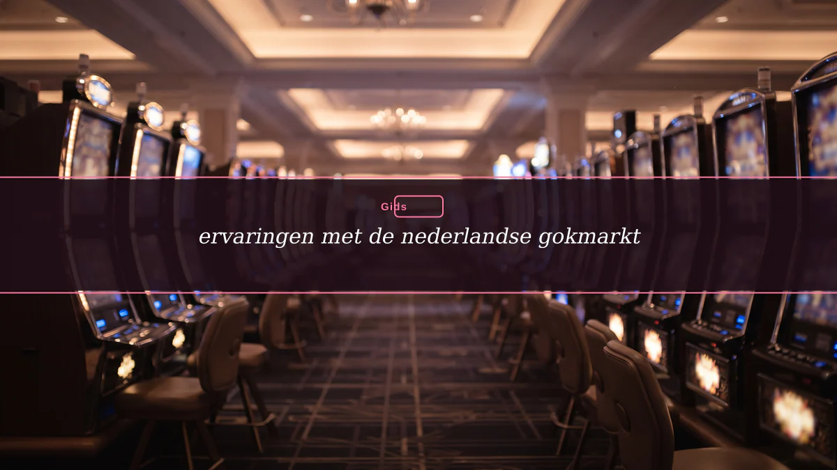 ervaringen met de nederlandse gokmarkt