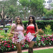 IMG 5269
