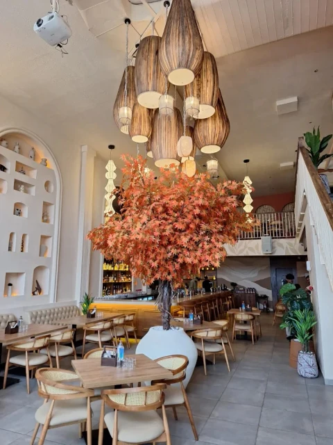 Atrium lanterns and double-height ceiling dining