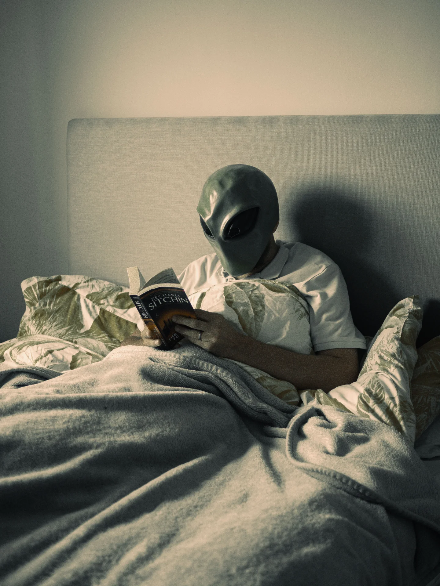 High quality Alien Wallpaper wallpaper by Lisa Fotios from Pexels