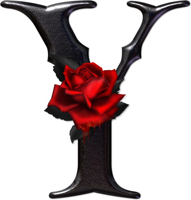 Y.png