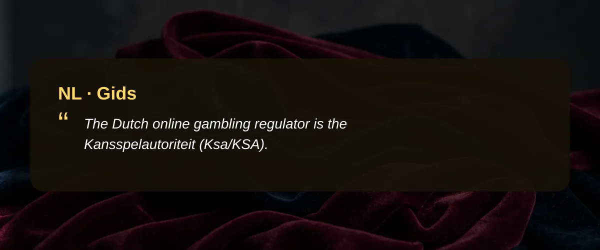 Casino sites nederland: een blik op de markt voor spelers met volume — Gids