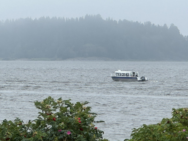 IMG 4381.jpg