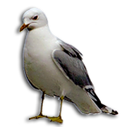 7770