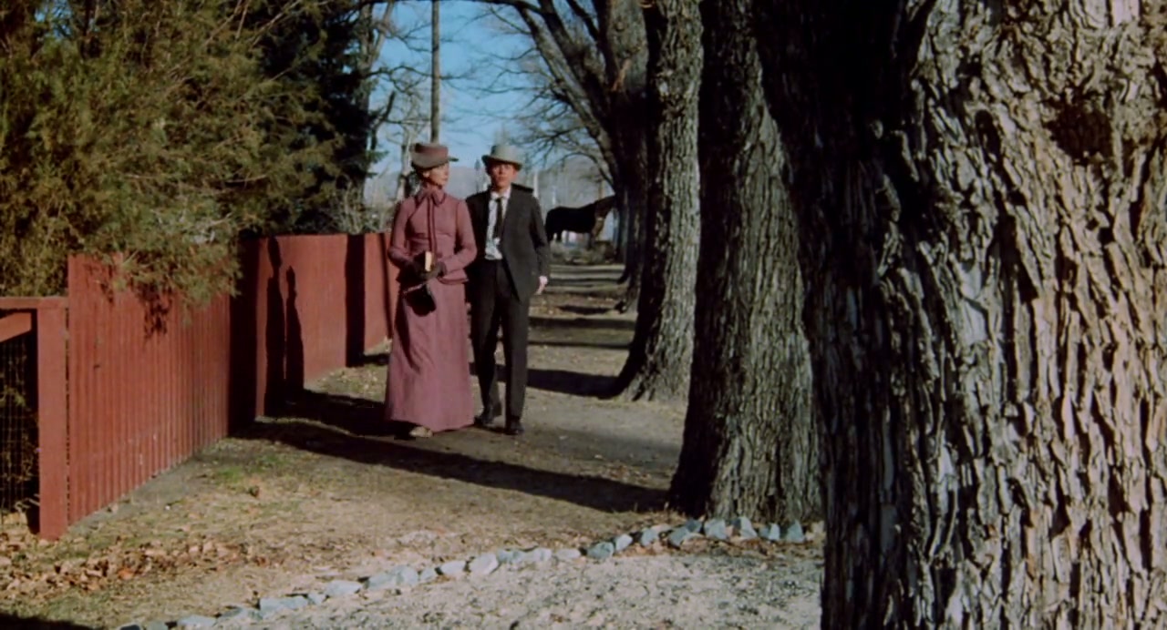 The Shootist Screenshot