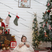 IMG 4492