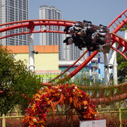 DSC09102