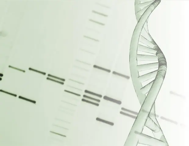 Large-Scale Simulations Reveal DNA's Physical Code for Gene Activation