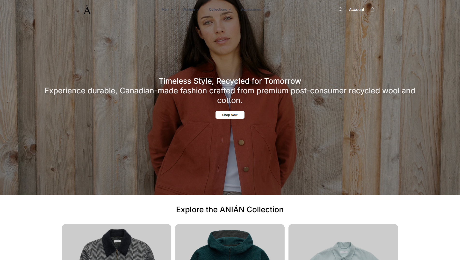 Stored capture of anianstudio.shop