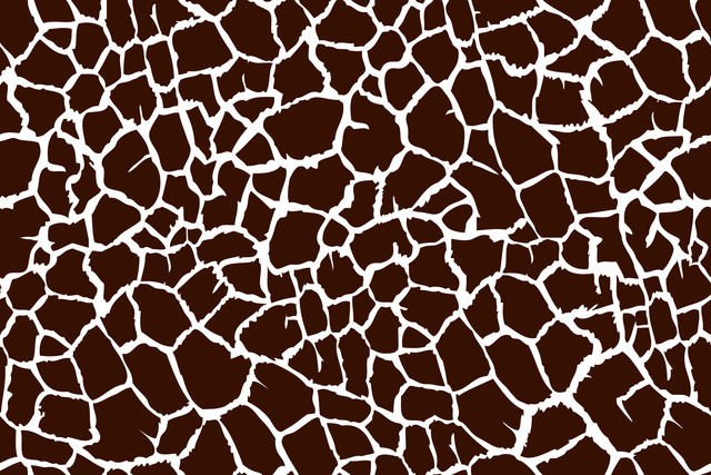 shutterstock 1129531592.jpg