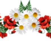 0-9916b-ee7ae777-M
