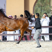 PB7A3410