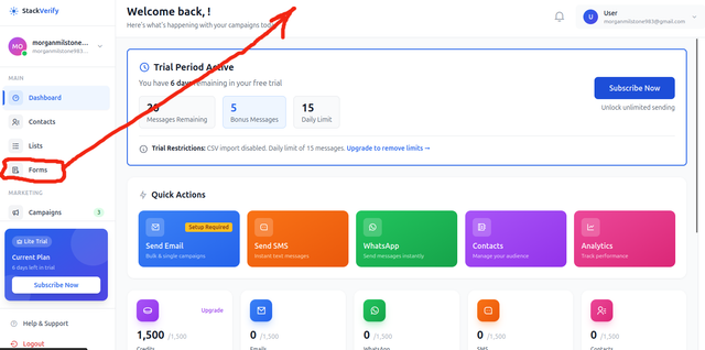 Campaign analytics and delivery tracking inside StackVerify