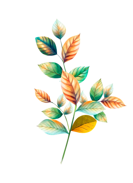 JJJJ.png