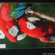 IMG-7718