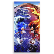 31001570-Sonic