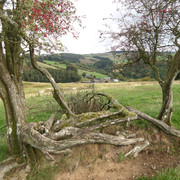 IMGP0345