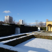 DSC09803